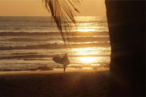 sunset beach sand surfer surfboard