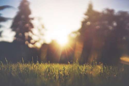 sunshine sunrays grass field outdoors