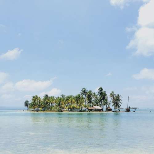 palm trees island tropical vacation travel