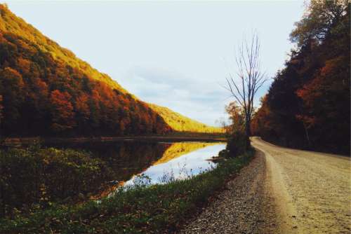 dirt road lake water trees