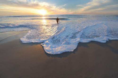 nature beach shore sand water