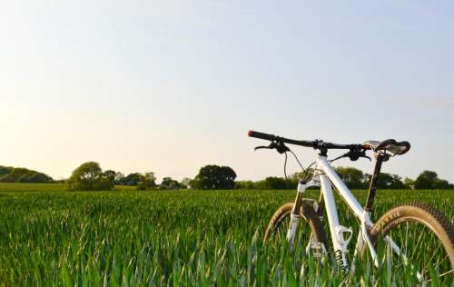 bicycle bike green grass field