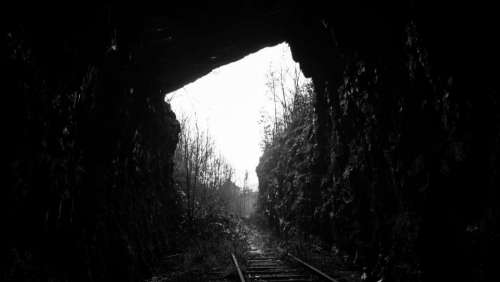 nature landscape train trail rail