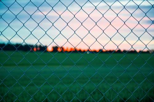 chainlink fence field grass sunset