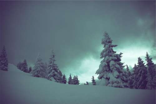 winter snow trees dark cloudy