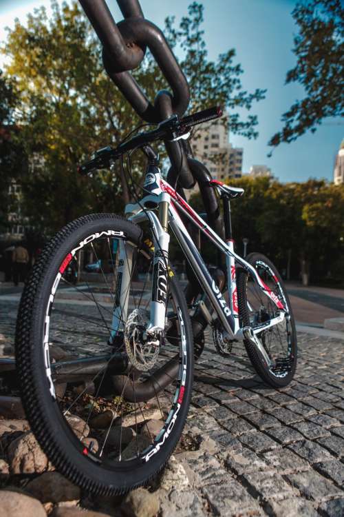 bicycle bike park city urban