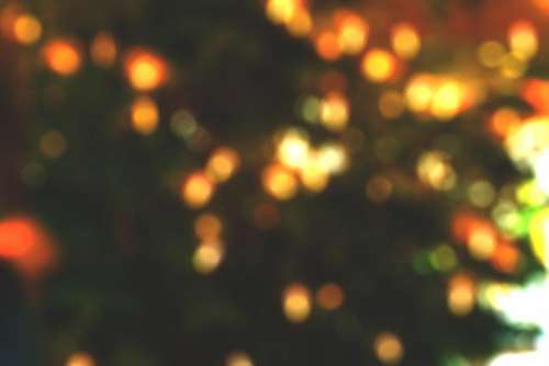 christmas tree lights blur bokeh