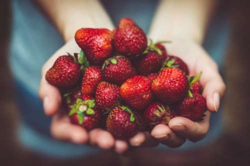 food eat fruits strawberries woman
