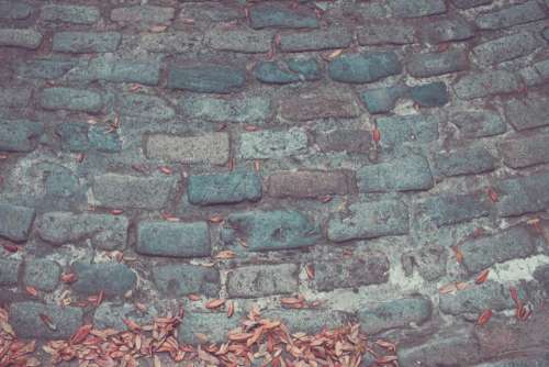 bricks wall leaves dried floor