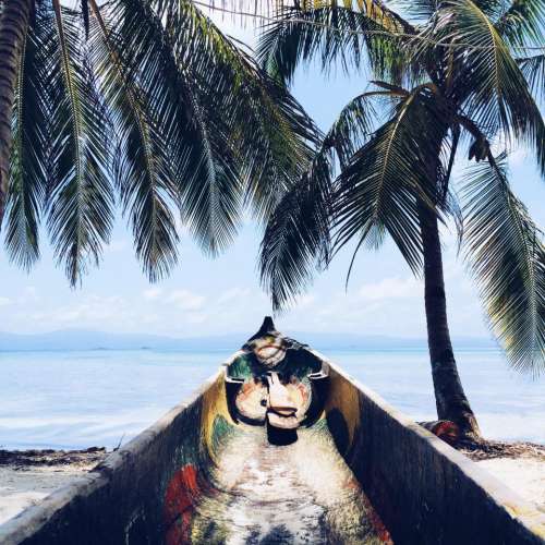 palm trees tropical island beach sand