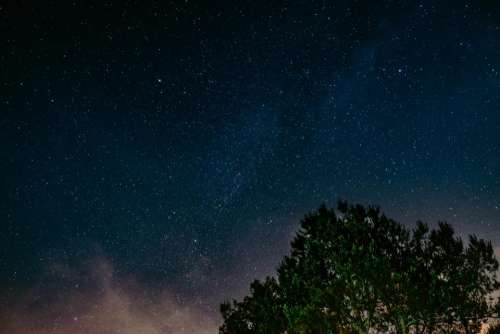 sky night stars trees galaxy