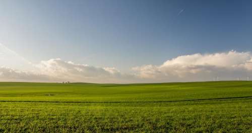 green grass field farm agriculture