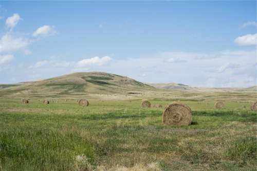 hay bales grass fields rural