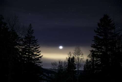 moon light stars night trees