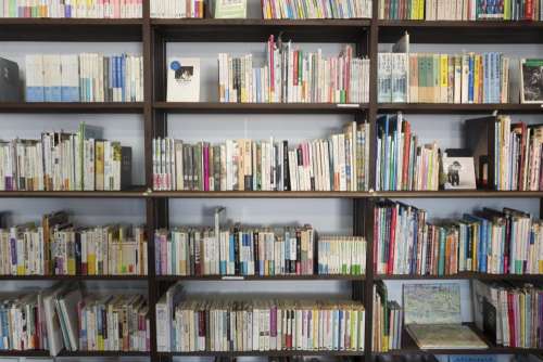 book novel read library shelf