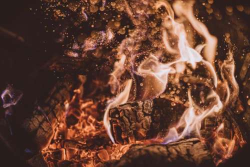 fire flame light firewood charcoal