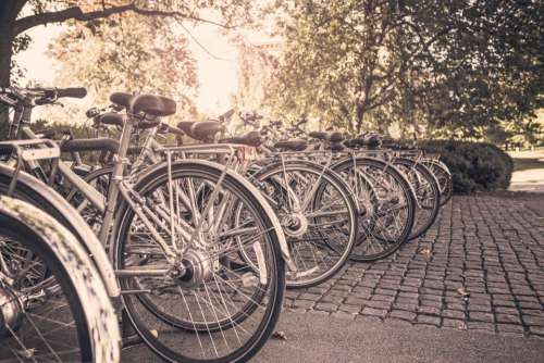 bikes bicycles racks cobblestone park