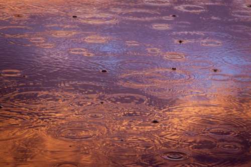 raining rain drops water ripples dusk