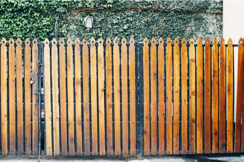 wood fence gate lock vines