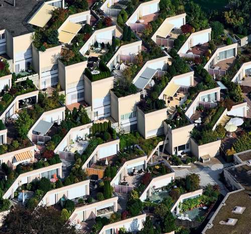 aerial view houses green plant
