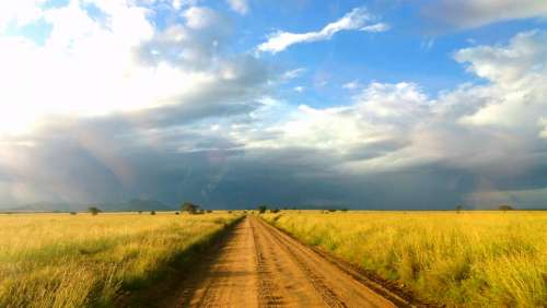 Africa Serengeti African Plain Open Road Africa Landscape