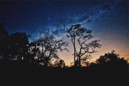 nature landscape trees mountain stars