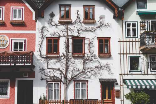 architecture house balcony apartment tree