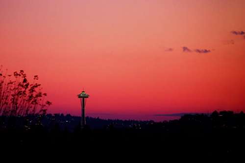 sunset dark pink sky trees