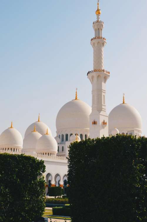 mosque muslim religion prayer plants