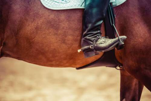 horse shoes cowboy saddle country