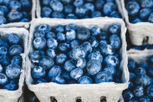 blueberries blueberry fruits basket food