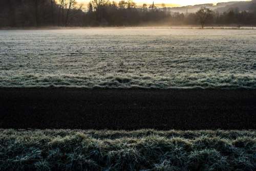 cold winter frozen frost grass