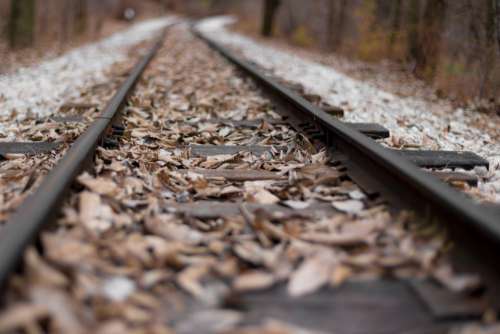 leaf fall autumn track railway