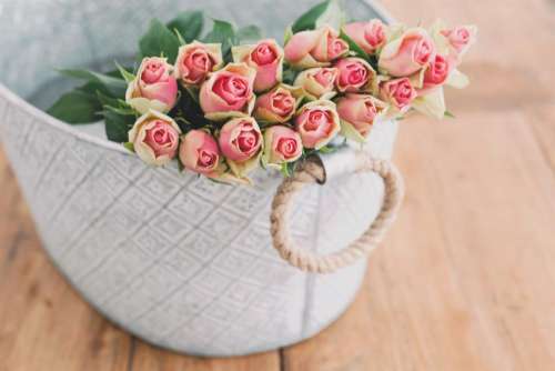 pink roses flowers bouquet basket