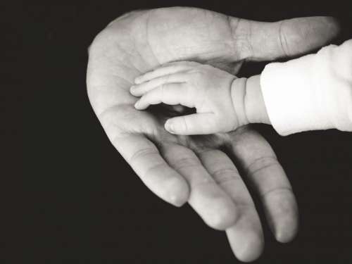 hands baby child family parent
