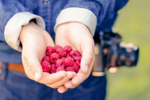 raspberries berries fruits food healthy