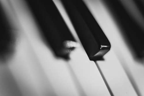 piano keys music instrument black and white