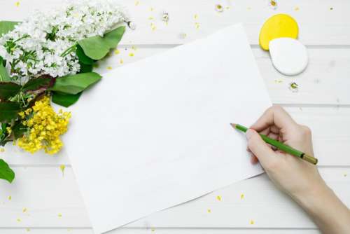 lifestyle work paper pencil flowers