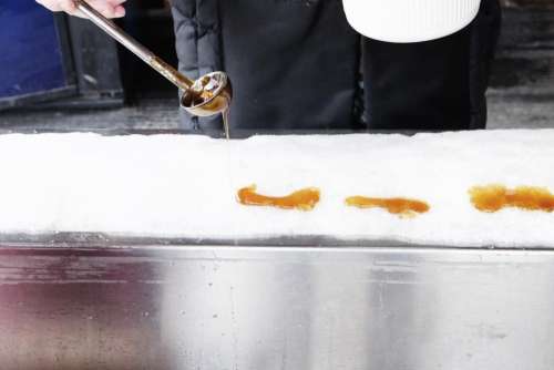 maple maple syrup ice frozen winter