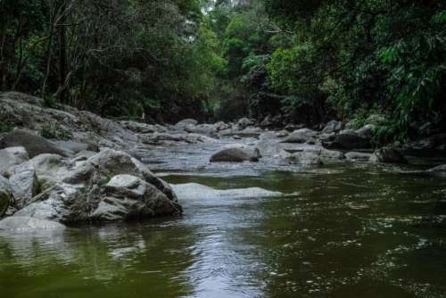 nature water river stream rocks