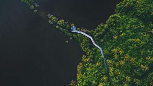 aerial view bridge path green
