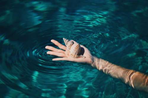hand seashell water ocean sea