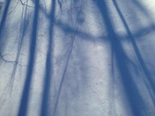 Shadows Snow Abstract Blue Branches