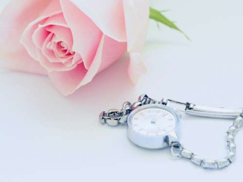 pink rose silver watch pink jewellery