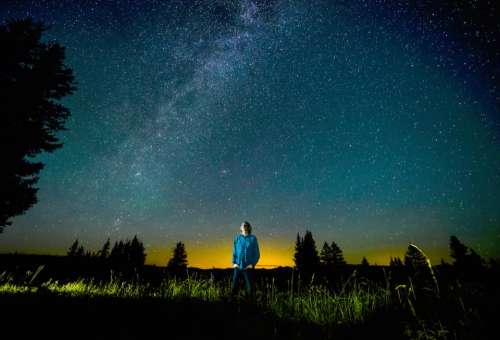 nature trees grass sky night