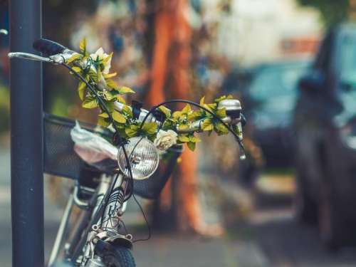 bike bicycle basket street blur
