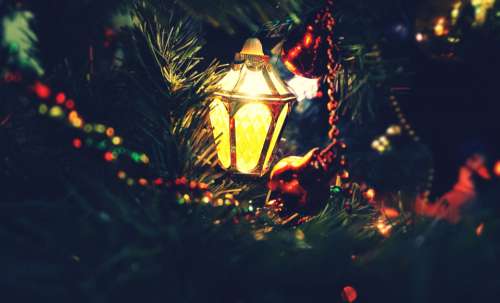 christmas lights christmas christmas decorations festive tree