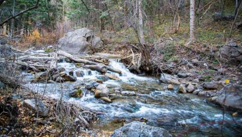 stream water rocks nature trees