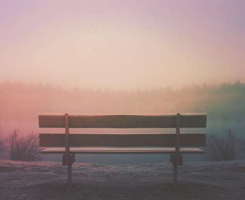 wood bench outdoors fog foggy