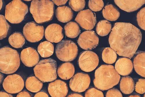 wood lumber logs nature